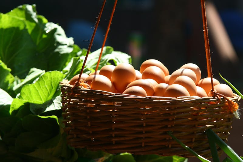 An Egg Basket